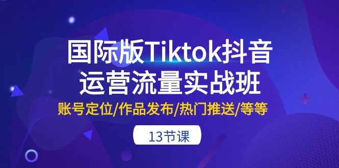 (10712期)国际版Tiktok抖音运营流量实战班:账号定位/作品发布/热门推送/等等-13节-大可网创