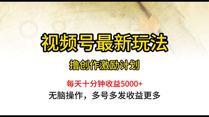 (10591期)视频号最新玩法,每日一小时月入5000+-大可网创