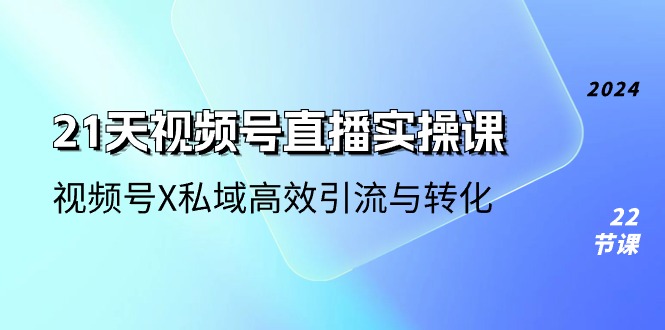 (10966期)21天-视频号直播实操课,视频号X私域高效引流与转化(22节课)-大可网创