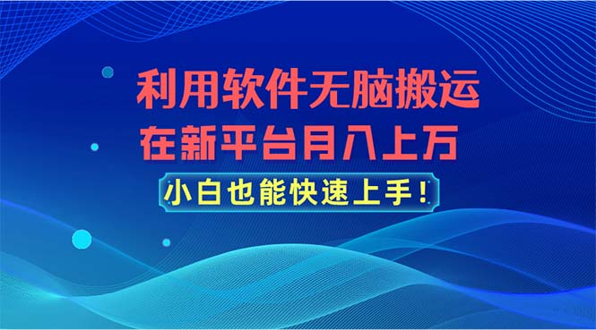 (11078期)利用软件无脑搬运,在新平台月入上万,小白也能快速上手-大可网创