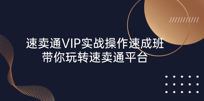 (10935期)速卖通 VIP实战操作-速成班,带你玩转速卖通平台(23节)-大可网创