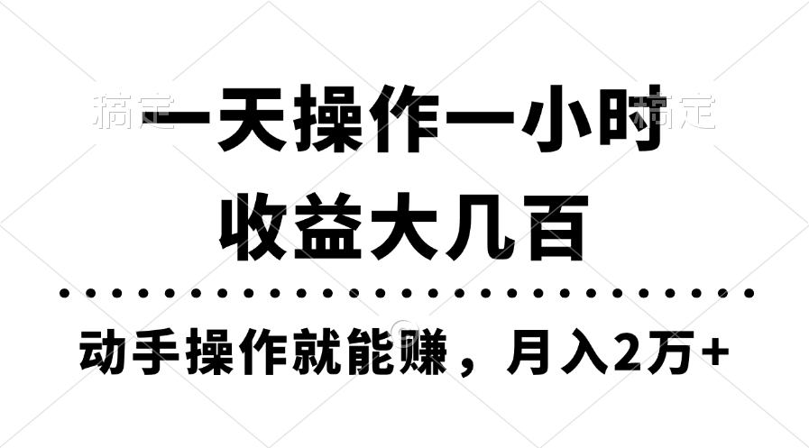(11263期)一天操作一小时,收益大几百,动手操作就能赚,月入2万+教学-大可网创