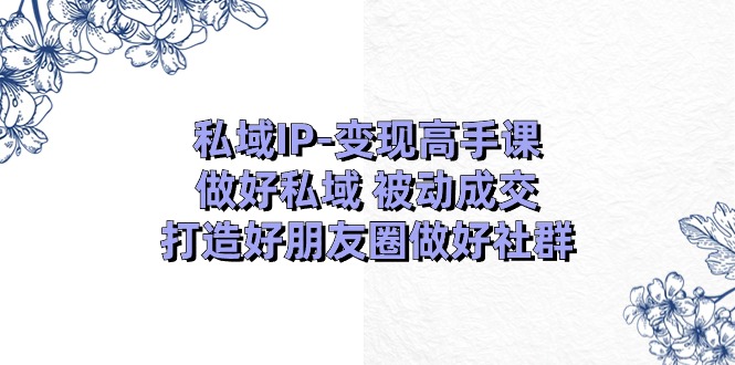 (11209期)私域IP-变现高手课:做好私域 被动成交,打造好朋友圈做好社群(18节)-大可网创