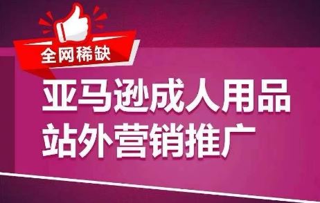 全网稀缺!亚马逊成人用品站外营销推广,教你引爆站外流量,开启爆单模式-大可网创