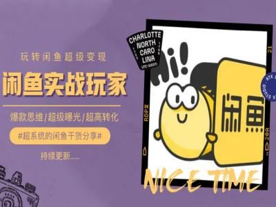 手把手教你0到1系统玩转闲鱼变现,爆款思维/超级曝光/超高转化-大可网创