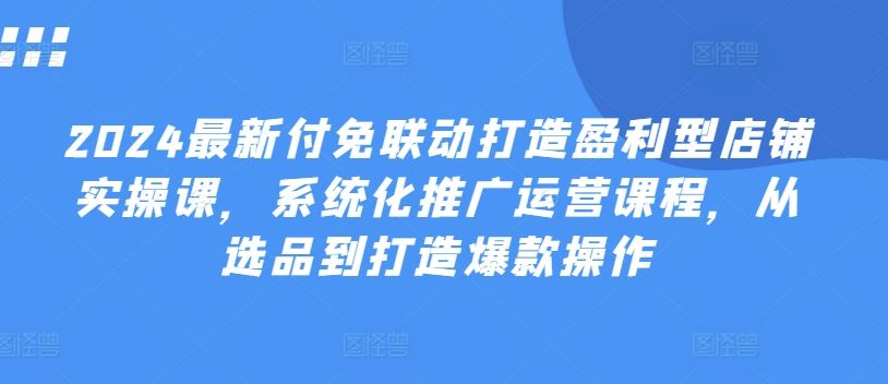 2024最新付免联动打造盈利型店铺实操课,系统化推广运营课程,从选品到打造爆款操作-大可网创