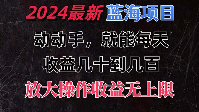 (11470期)有手就行的2024全新蓝海项目,每天1小时收益几十到几百,可放大操作收…-大可网创