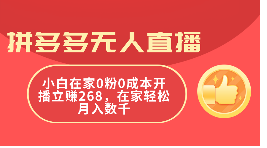 (11521期)拼多多无人直播,小白在家0粉0成本开播立赚268,在家轻松月入数千-大可网创