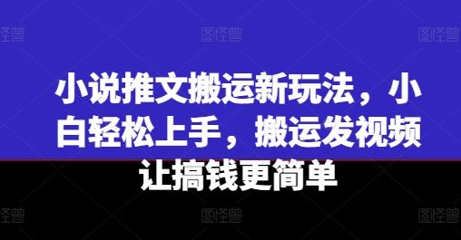 小说推文搬运新玩法,小白轻松上手,搬运发视频让搞钱更简单-大可网创