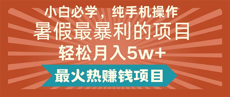 (11583期)小白必学,纯手机操作,暑假最暴利的项目轻松月入5w+最火热赚钱项目-大可网创