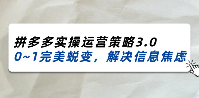 (11658期)2024_2025拼多多实操运营策略3.0,0~1完美蜕变,解决信息焦虑(38节)-大可网创