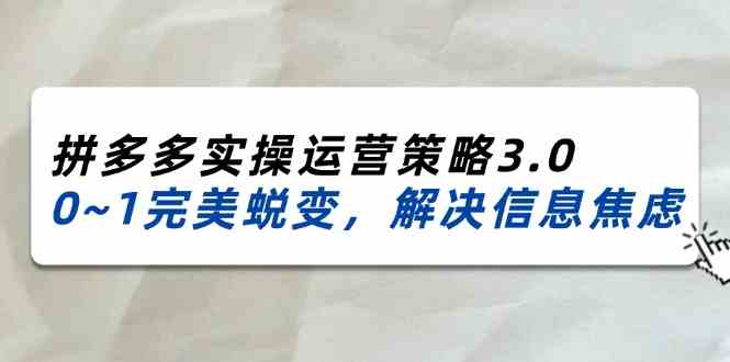 2024-2025拼多多实操运营策略3.0,0~1完美蜕变,解决信息焦虑(38节)-大可网创