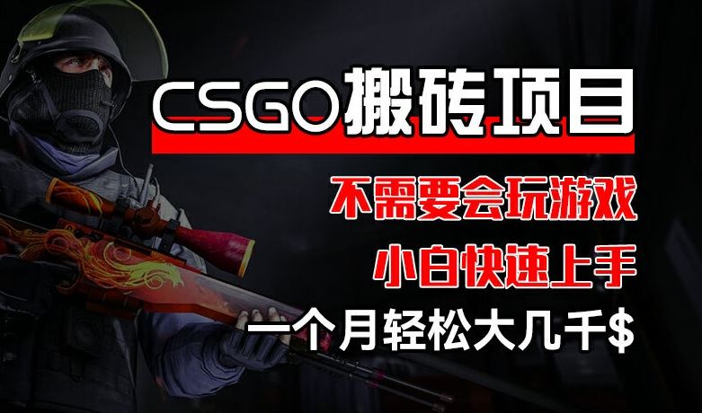 CSGO 装备搬砖项目,操作简单,不需要会玩游戏,小白也能快速上手,一个月轻松大几千【揭秘】-大可网创