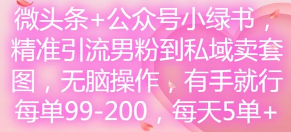 微头条+公众号小绿书,精准引流男粉到私域卖套图,无脑操作,有手就行,每单99-200,每天5单-大可网创