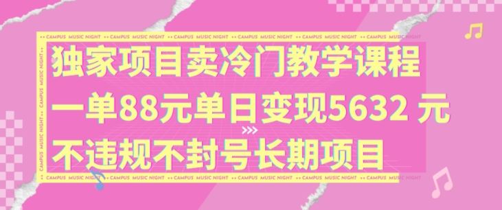 独家项目卖冷门教学课程一单88元单日变现5632元违规不封号长期项目【揭秘】-大可网创