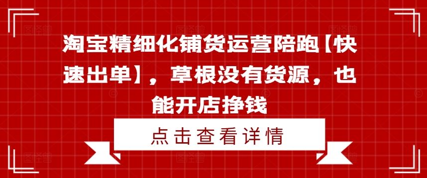 淘宝精细化铺货运营陪跑【快速出单】,草根没有货源,也能开店挣钱-大可网创