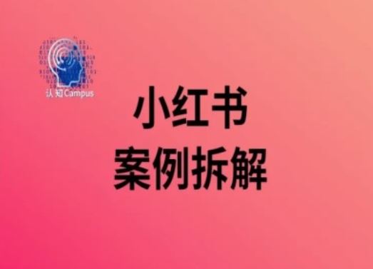 小红书案例拆解,深度解读小红书40万粉-大可网创