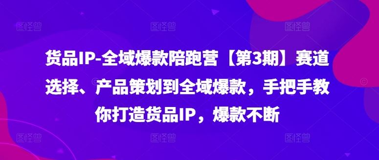 货品IP全域爆款陪跑营【第3期】赛道选择、产品策划到全域爆款,手把手教你打造货品IP,爆款不断-大可网创