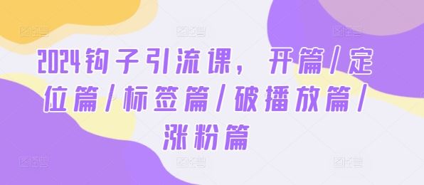 2024钩子引流课,开篇/定位篇/标签篇/破播放篇/涨粉篇-大可网创
