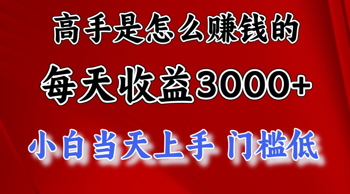 (12144期)1天收益3000+,月收益10万以上,24年8月份爆火项目-大可网创