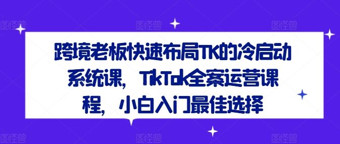 跨境老板快速布局TK的冷启动系统课,TikTok全案运营课程,小白入门最佳选择-大可网创