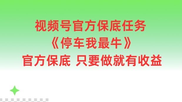 视频号官方保底任务,停车我最牛,官方保底只要做就有收益【揭秘】-大可网创