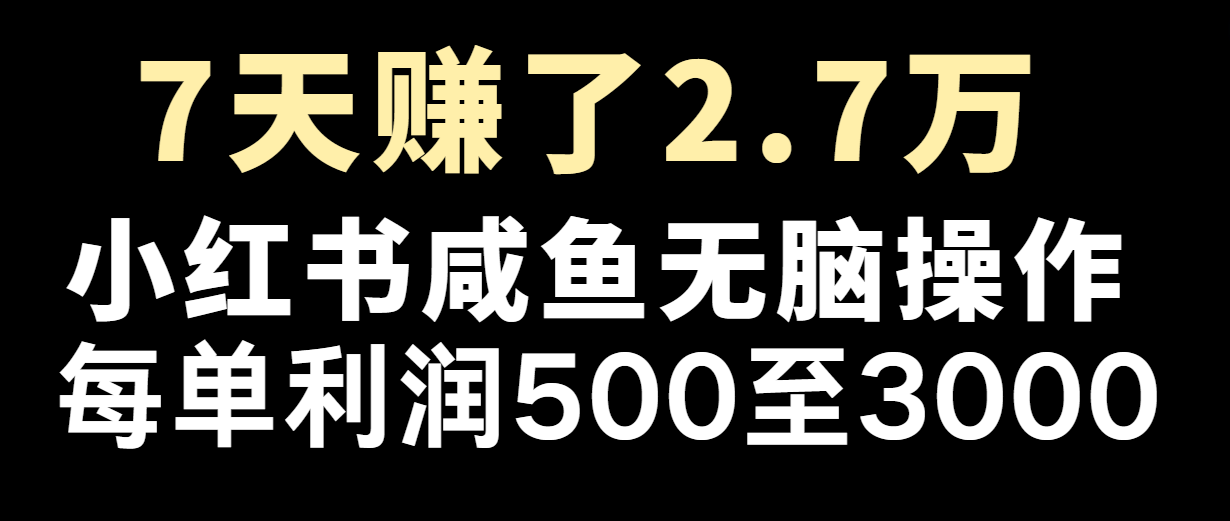 七天赚了2.7万!每单利润最少500+,轻松月入5万+小白有手就行-大可网创