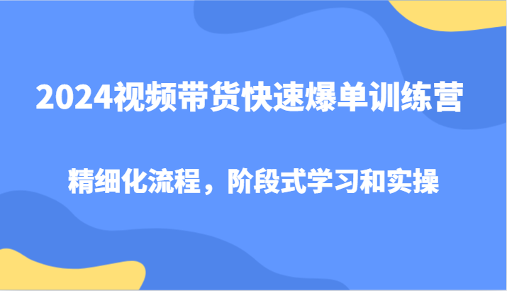 2024视频带货快速爆单训练营,精细化流程,阶段式学习和实操-大可网创