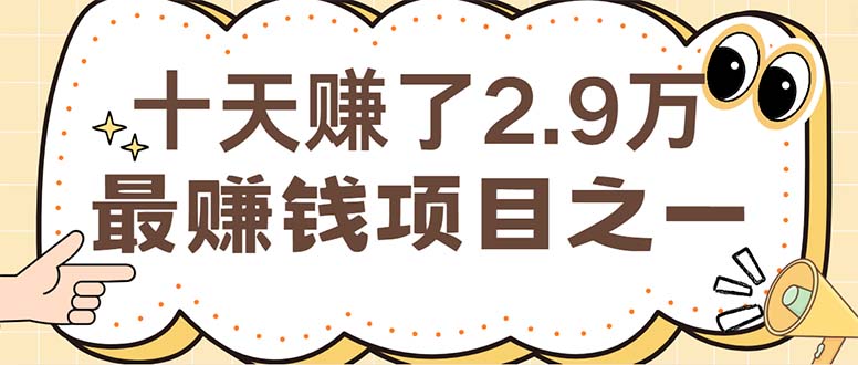 (12491期)闲鱼小红书赚钱项目之一,轻松月入6万+项目-大可网创