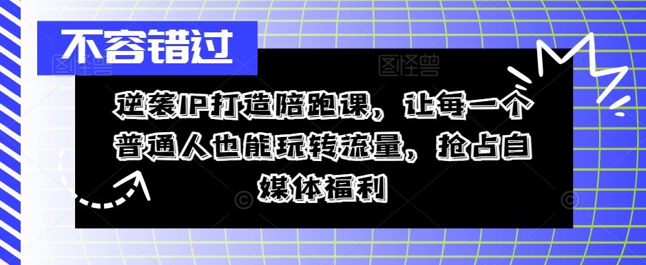 逆袭IP打造陪跑课,让每一个普通人也能玩转流量,抢占自媒体福利-大可网创