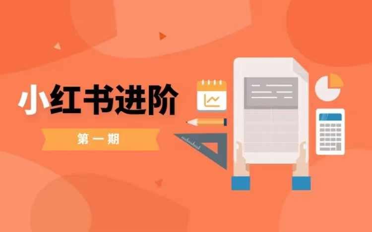 小红书进阶篇,零基础小白实战课,普通人变现的课程-大可网创