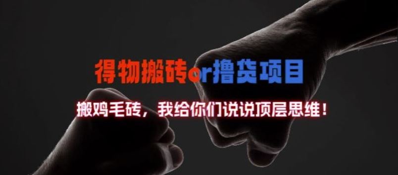 得物搬砖撸货项目?掰下数据,我给你们说说顶层思维【揭秘】-大可网创