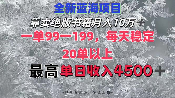 (12512期)靠卖绝版书籍月入10W+,一单99-199,一天平均20单以上,最高收益日入4500+-大可网创
