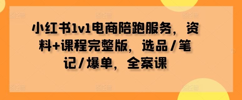 小红书1v1电商陪跑服务,资料+课程完整版,选品/笔记/爆单,全案课-大可网创