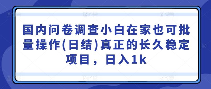 国内问卷调查小白在家也可批量操作(日结)真正的长久稳定项目,日入1k【揭秘】-大可网创
