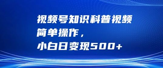 视频号知识科普视频,简单操作,小白日变现500+【揭秘】-大可网创