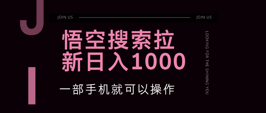 (12717期)悟空搜索类拉新 蓝海项目 一部手机就可以操作 教程非常详细-大可网创