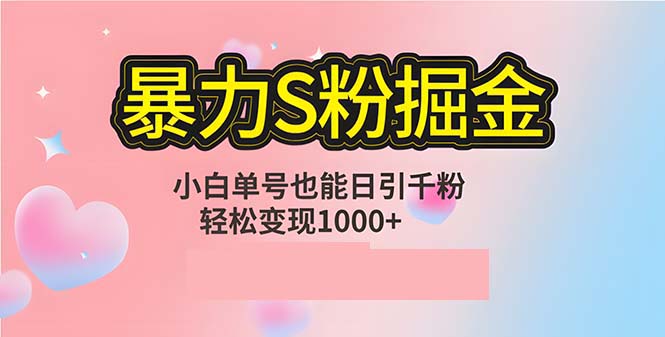 (12778期)单人单机日引千粉,变现1000+,S粉流量掘金计划攻略-大可网创
