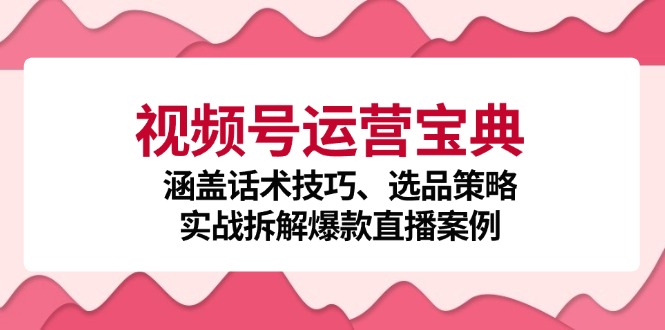 视频号运营宝典:涵盖话术技巧、选品策略、实战拆解爆款直播案例-大可网创