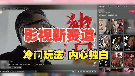 最新影视解说玩法,人物独白,30天涨粉24万+,全流程拆解【揭秘】-大可网创