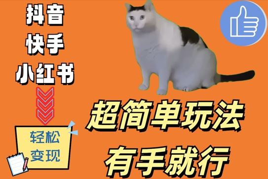 超简单玩法,有手就行,靠猫咪视频日入500+【揭秘】-大可网创