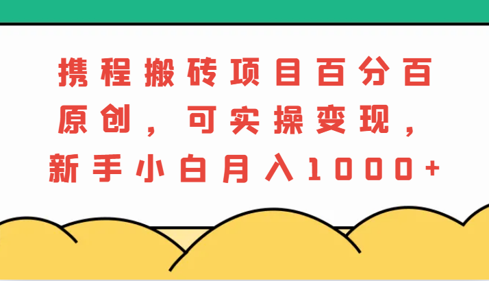 携程搬砖项目,百分百原创,可实操变现,新手小白月入1000+-大可网创