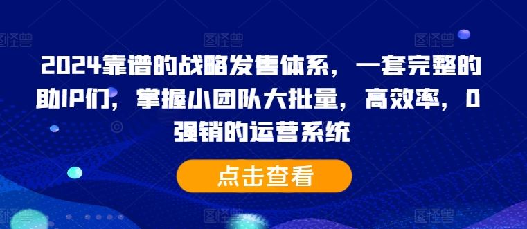 2024靠谱的战略发售体系,一套完整的助IP们,掌握小团队大批量,高效率,0 强销的运营系统-大可网创