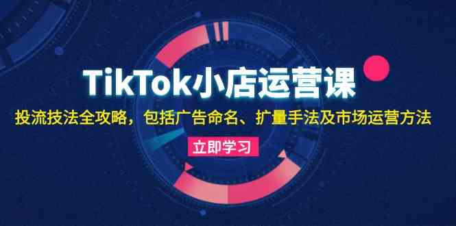 TikTok小店运营课:投流技法全攻略,包括广告命名 扩量手法及市场运营方法-大可网创
