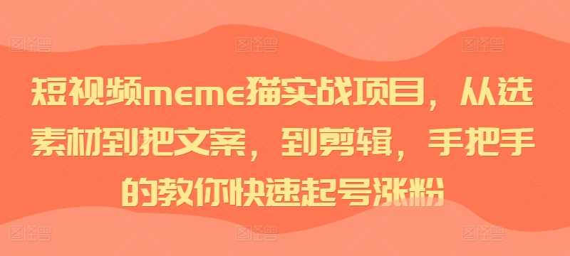 短视频meme猫实战项目,从选素材到把文案,到剪辑,手把手的教你快速起号涨粉-大可网创