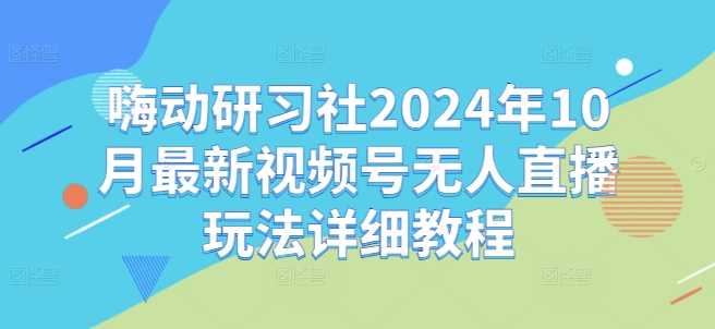 嗨动研习社2024年10月最新视频号无人直播玩法详细教程-大可网创