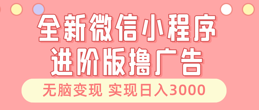 (13197期)全新微信小程序进阶版撸广告 无脑变现睡后也有收入 日入3000+-大可网创