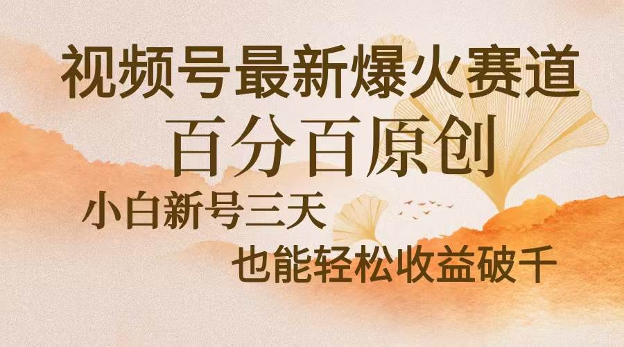 (13225期)视频号最新爆火赛道,中老年粉深信不疑,百分百原创,新号三天收益轻松…-大可网创