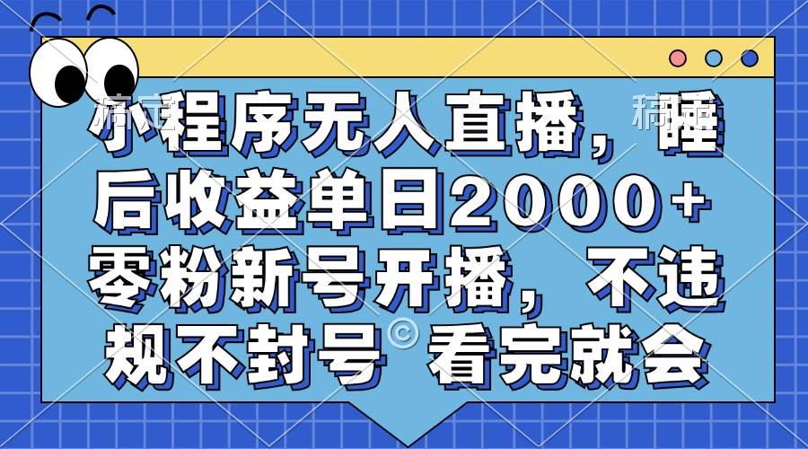 (13251期)小程序无人直播,睡后收益单日2000+ 零粉新号开播,不违规不封号 看完就会-大可网创