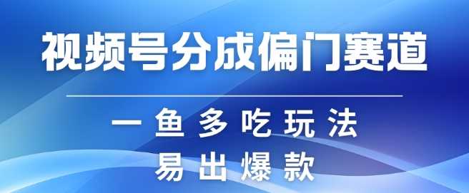 视频号创作者分成计划偏门类目,容易爆流,实拍内容简单易做【揭秘】-大可网创